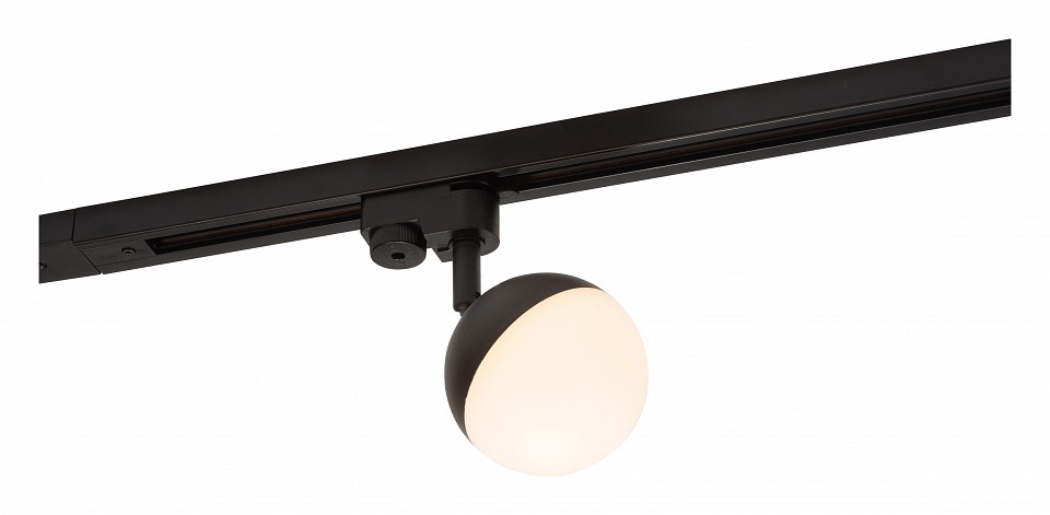 Светильник на штанге Denkirs DK6406 DK6406-BK
