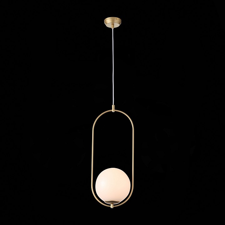 Подвесной светильник ST-Luce Penolo SL1118.203.01