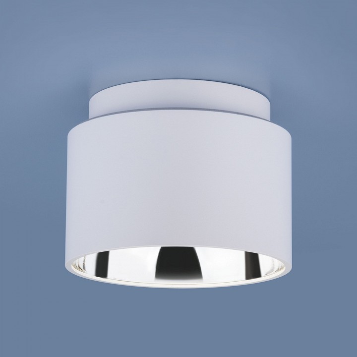 Накладной светильник Elektrostandard Charlie a036624