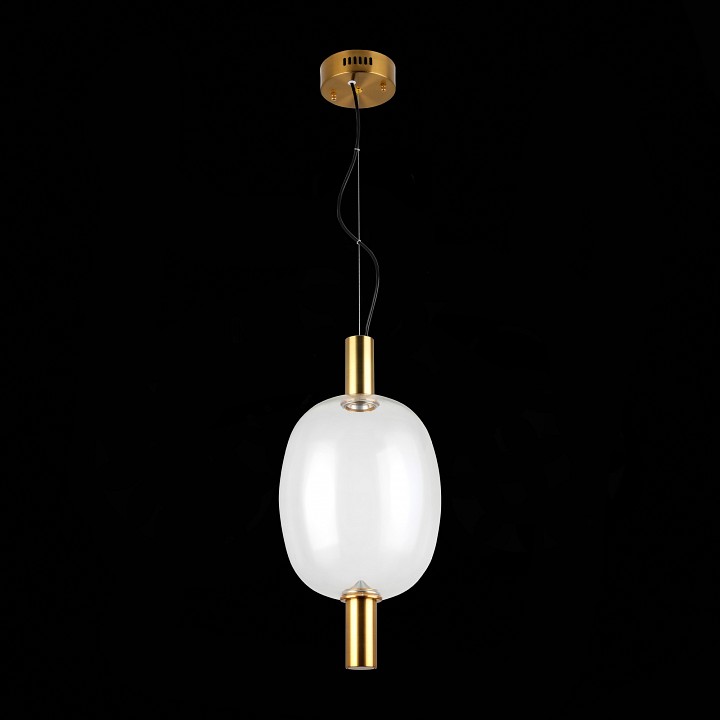 Подвесной светильник ST-Luce Allenore SL1582.313.01