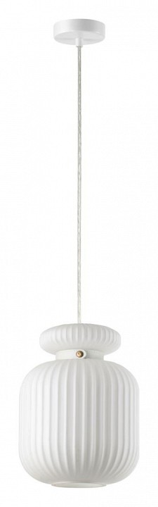 Подвесной светильник Odeon Light Jugi 5042/1C
