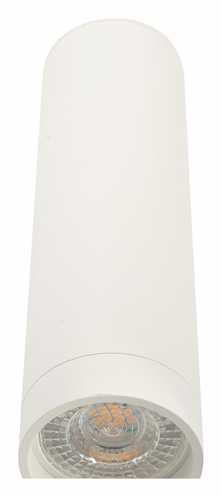 Накладной светильник Denkirs Tube DK2052-WH