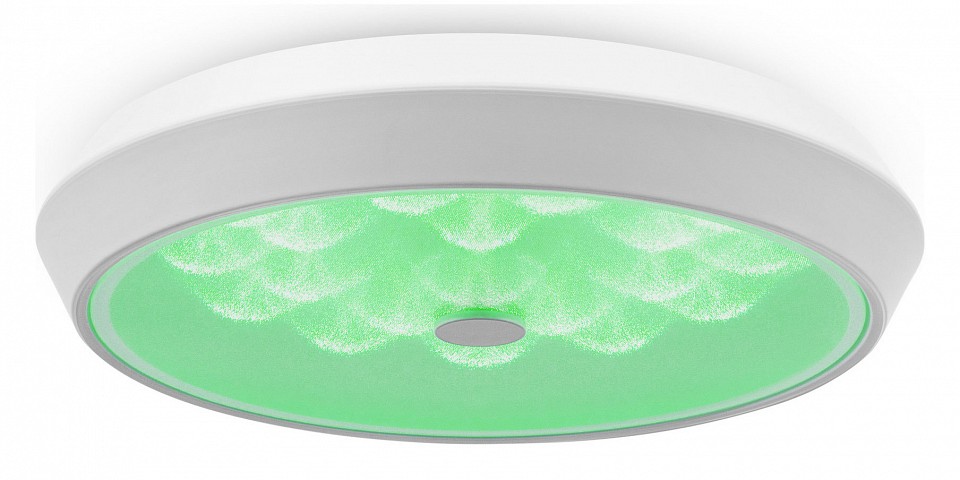 Накладной светильник Freya Cells FR10012CL-L24W