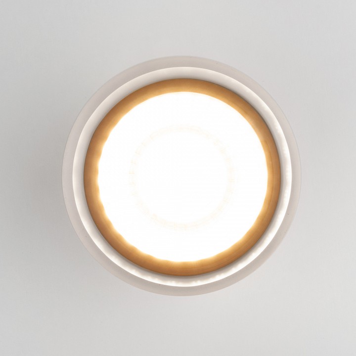 Накладной светильник Elektrostandard Light LED a057161