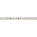 Лента светодиодная Arlight  028589(2)