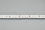 Лента светодиодная Arlight MICROLED 024432(2)