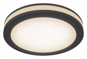 Накладной светильник Maytoni Phanton DL303-L12B4K