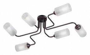 Потолочная люстра Vitaluce 4310 V4310-1/6PL