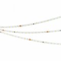 Лента светодиодная Arlight MICROLED 024505(2)