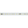 Лента светодиодная Arlight  027053(2)