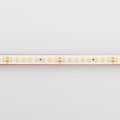 Лента светодиодная Arlight RTW герметичная 024545(2)