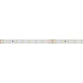 Лента светодиодная Arlight  024509(2)