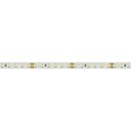 Лента светодиодная Arlight  015698(2)