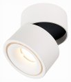 Светильник на штанге ST-Luce ST652 ST652.542.12