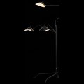 Торшер ST-Luce Spruzzo SL305.405.03