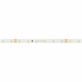 Лента светодиодная Arlight RT 028541(2)