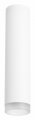 Накладной светильник Lightstar Rullo R49630