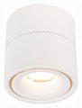 Светильник на штанге ST-Luce ST652 ST652.542.12