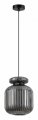 Подвесной светильник Odeon Light Jugi 5042/1B